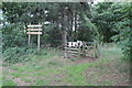 Path into Spalford Warren Nature Reserve