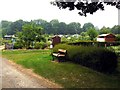 Wingerworth village allotments