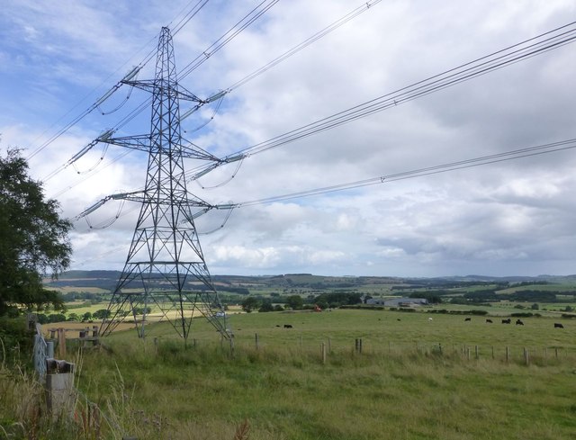 Another pylon in pasture with cattle