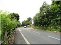 Looking west along the road to East Hedleyhope