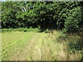 Footpath approaching Greenhurst Lane