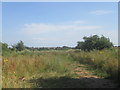 Line of the disused railway towards Creswell