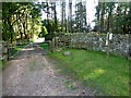 Kissing Gate At Stang Yule