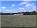 Fields east of A361