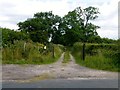 Footpath Towards Cockleach