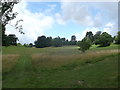 Footpath near Vinehall School (2)