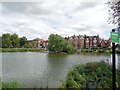 Eagle Pond, Clapham Common