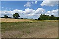 Farmland near Biggin