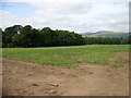 Fields near Santon