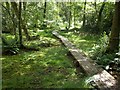 Footbridge over Tilling Bourne