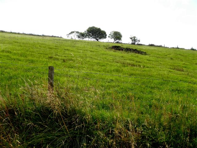 Tullyminister Townland
