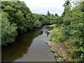 River Severn NNE of the footbridge to Dolerw Park, Newtown