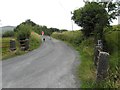 H0625 : Road at Curraghglass by Kenneth  Allen