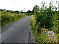 H0526 : Road at Tullynacleigh by Kenneth  Allen