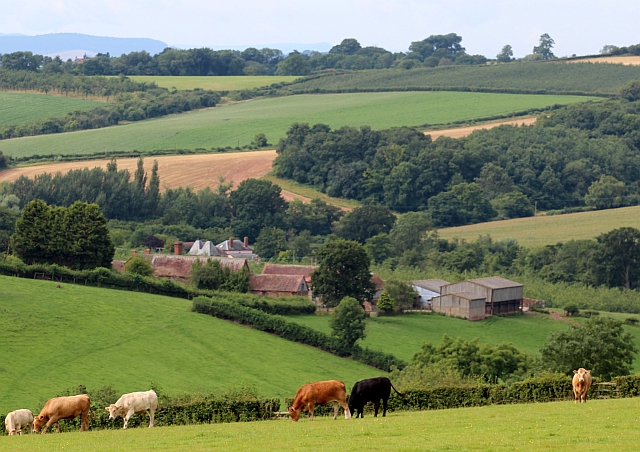 The Dovehills, Bishops Frome,... © Bob Embleton cc-by-sa/2.0 ...