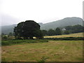 Fields at Cragg Farm