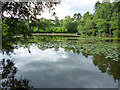 TQ2733 : Silt Lake, Tilgate Park by Robin Webster