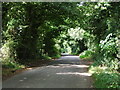 Binbury Lane, near Detling