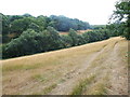 Valley near Stockings Wood