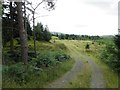 Track, Davagh Forest