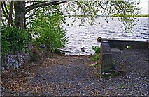 R8289 : Slipway or landing place, Luska Pier, Co. Tipperary by P L Chadwick