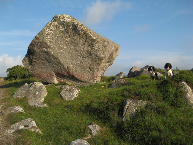 erratic-boulder-jonathan-wilkins-geograph-ireland