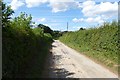 Bridleway to Tadcaster