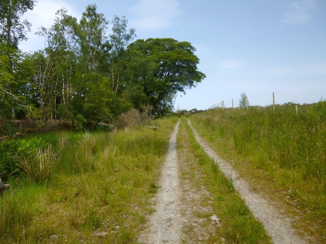 Path to Square Wood