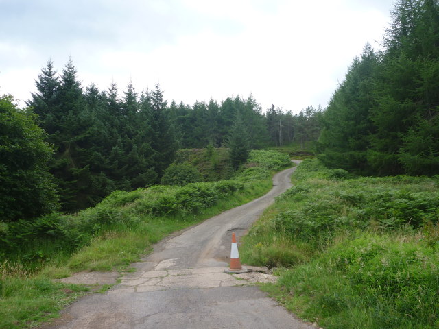 Rural East Lothian : County Boundary In The Monynut Forest