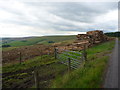 NT6866 : Rural Berwickshire : Felled Timber On Crichness Law by Richard West