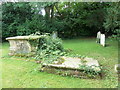 St Mary Magdalene, Bolney: churchyard (c)