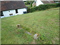 St Mary Magdalene, Bolney: churchyard (m)