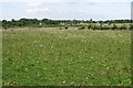 Pasture in front of the Water End interchange