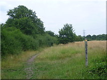 TQ1964 : Footpath across Tolworth Court Farm Fields by Marathon
