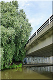 SK5639 : Willow and bridge by David Lally
