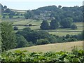 Derwent valley fields near Leadmill