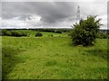 Curly Townland