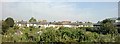 Allotments and cottages beyond, Railway Side, Mortlake