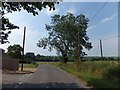 Looking towards the River Wreake from Brooksby