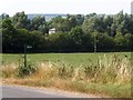 Footpath to Rotherby