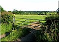 Fields south of Knossington Road