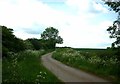 Glebe Road towards Whissendine