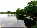 Saddington Reservoir