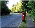 Beech Avenue and Postbox Number CR2 224