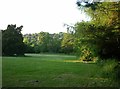 Grass area near Purley Beeches