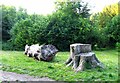 TQ3361 : Tree trunk in Purley Beeches by Andrew Tatlow