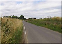 TQ6490 : Dunton Road towards Park Farm by Andrew Tatlow