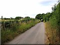 New Road towards Rectory Road