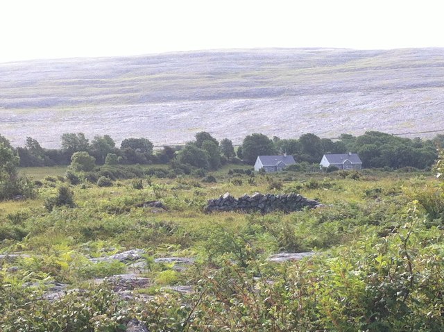 Homes in the Burren
