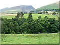 Looking across the Greta valley